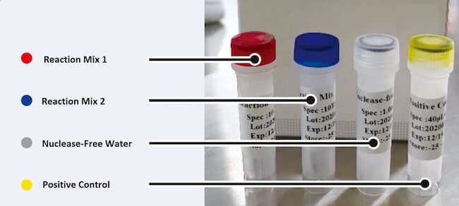 Direct RT-PCR COVID-19 Kit