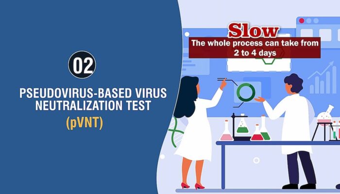 Pseudovirus-based Virus Neutralization Test (pVNT)